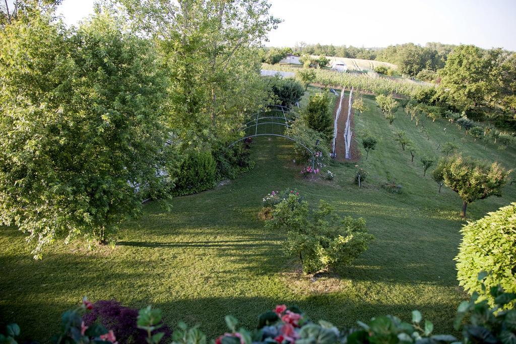 Cascina Papa Mora Villa Cellarengo Esterno foto