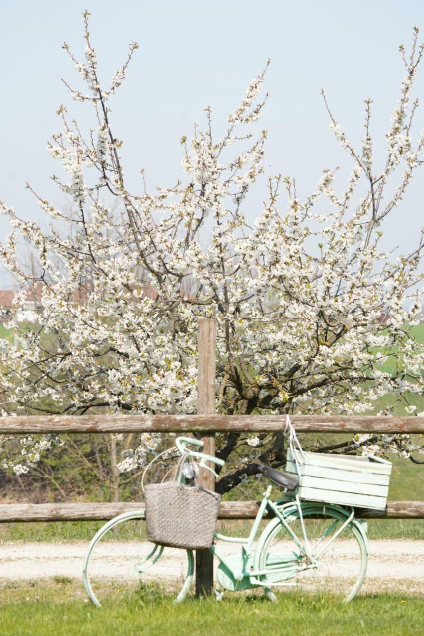 Cascina Papa Mora Villa Cellarengo Esterno foto